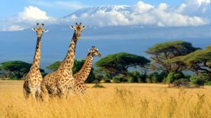 backpacking destinations in kenya